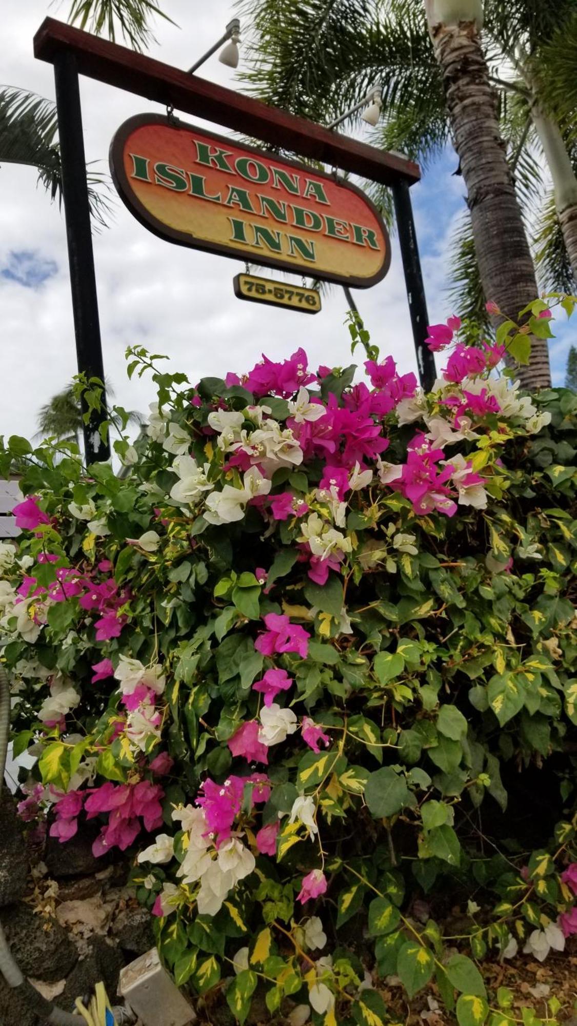 Downtown Hawaiian Theme Condo With Hot Tub, Pool & Beach - Kona Islander Inn Kailua-Kona Extérieur photo
